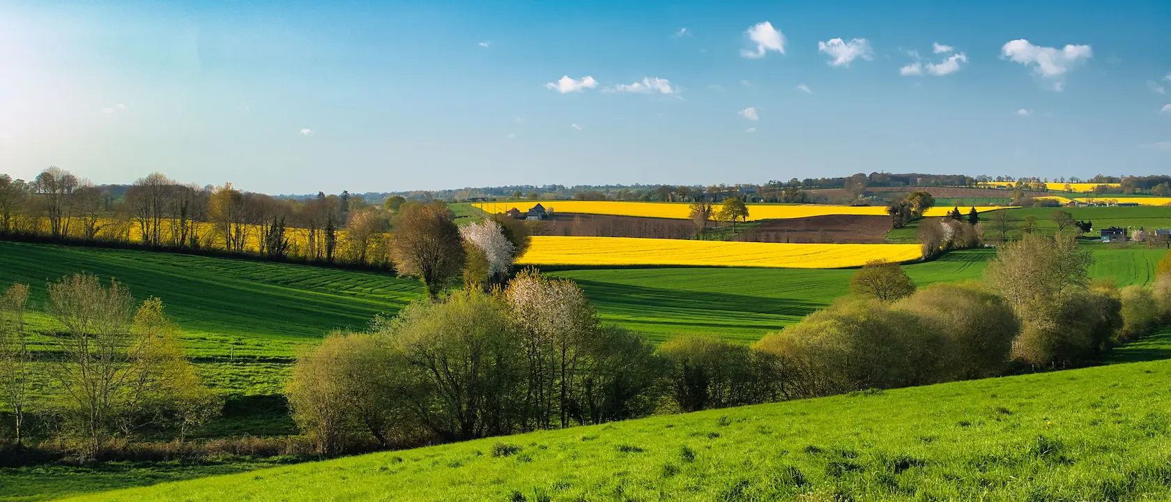 Campagne Mayennaise
